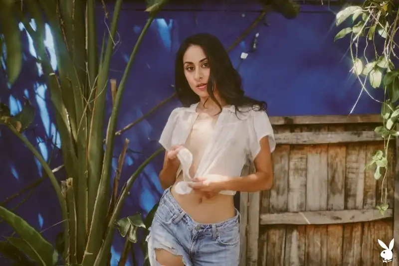 Чисті апартаменти для комфортного відпочинку — фотографія анкети